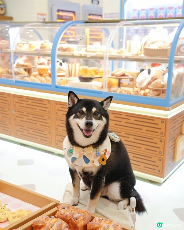 東港城烘焙體驗！🍞 玩遊戲拎麵包掛件🤩！