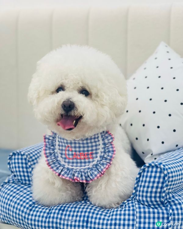 朋友仔生日派對