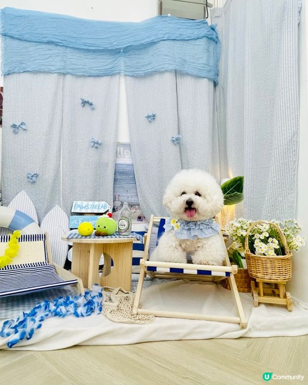 朋友仔生日派對