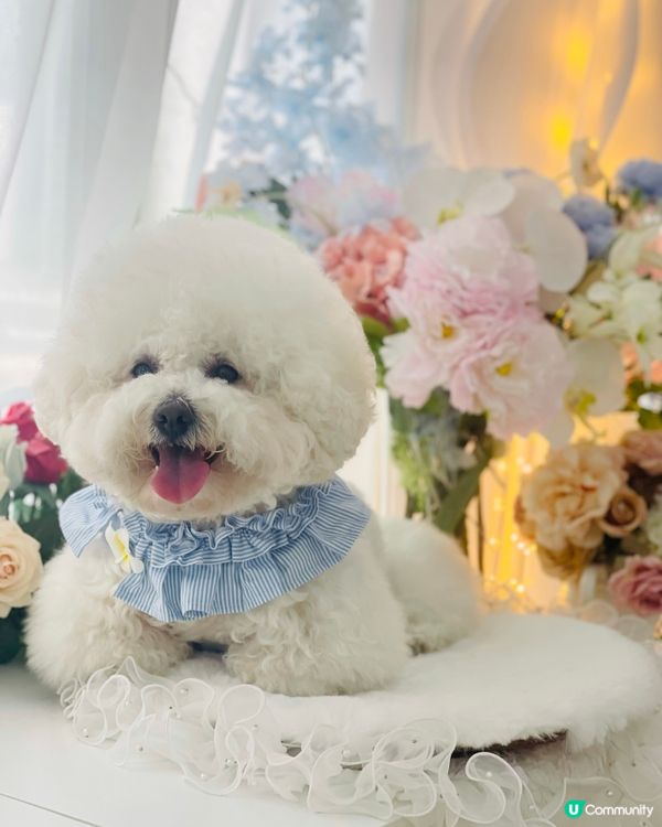 朋友仔生日派對