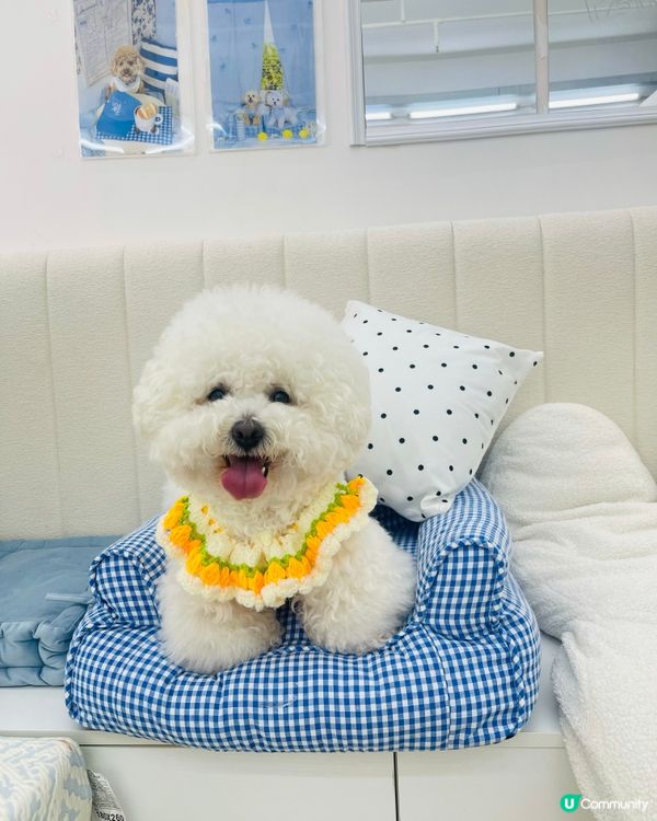 朋友仔生日派對