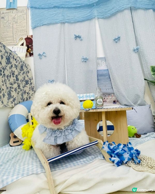 朋友仔生日派對