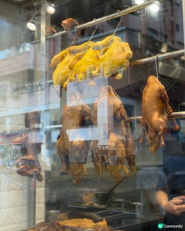 新蒲崗滷水鵝🤤！鵝三寶飯必食！😋