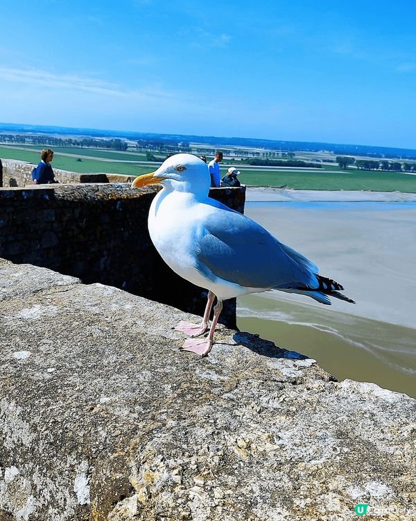 天地一沙鷗🕊️
