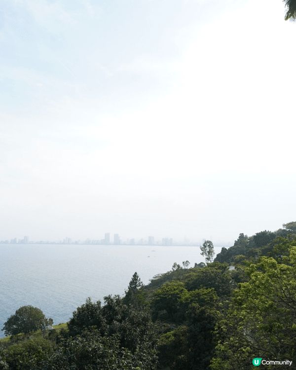 【思思賢嘆世界】峴港必遊：雄偉壯觀嘅山茶半島靈應寺 🛕