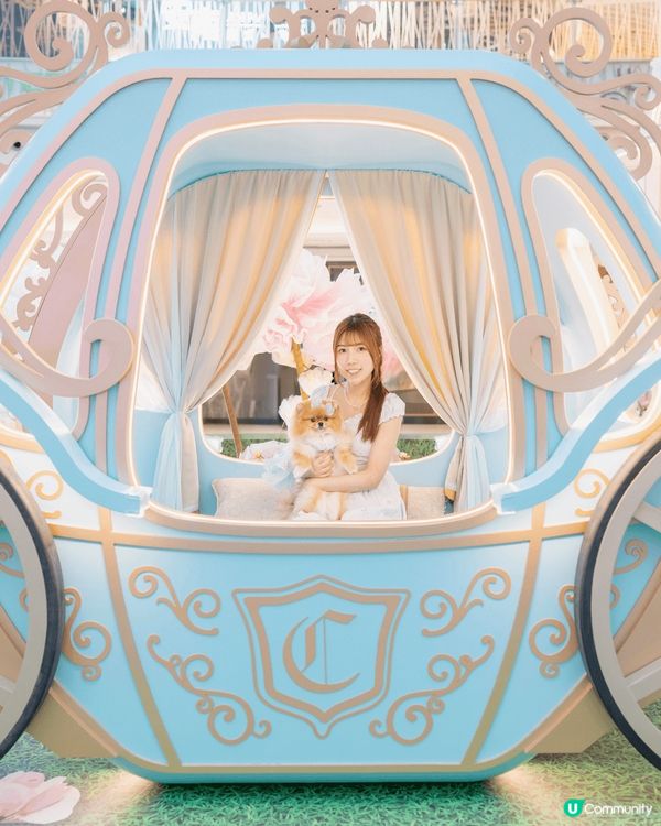 咦！原來將軍澳MCP新都城中心而家有「迪士尼公主仲夏花園」🌹...