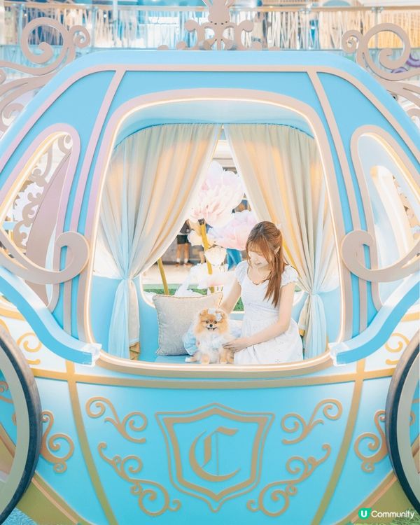 咦！原來將軍澳MCP新都城中心而家有「迪士尼公主仲夏花園」🌹...