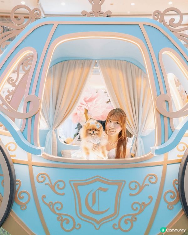 咦！原來將軍澳MCP新都城中心而家有「迪士尼公主仲夏花園」🌹...