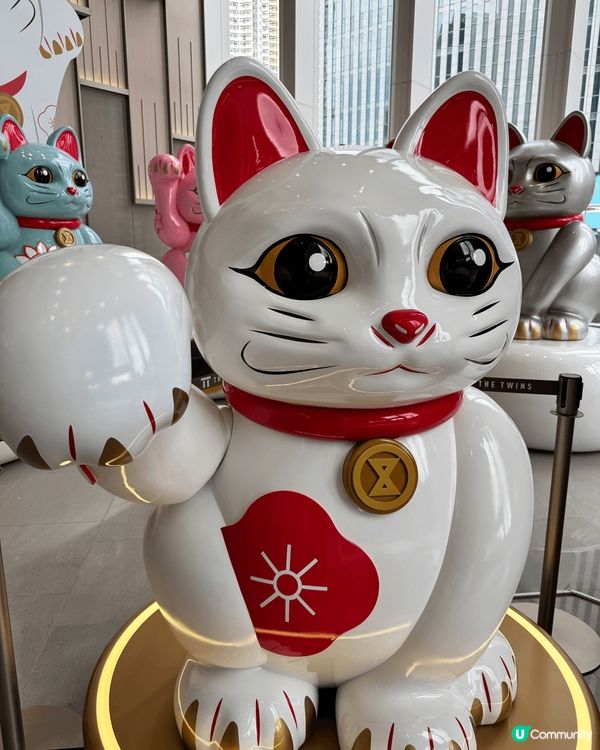 如果大家同我一樣鍾意招財貓的話，一定要去啟德SOGO，一個集...