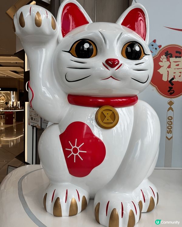 如果大家同我一樣鍾意招財貓的話，一定要去啟德SOGO，一個集...
