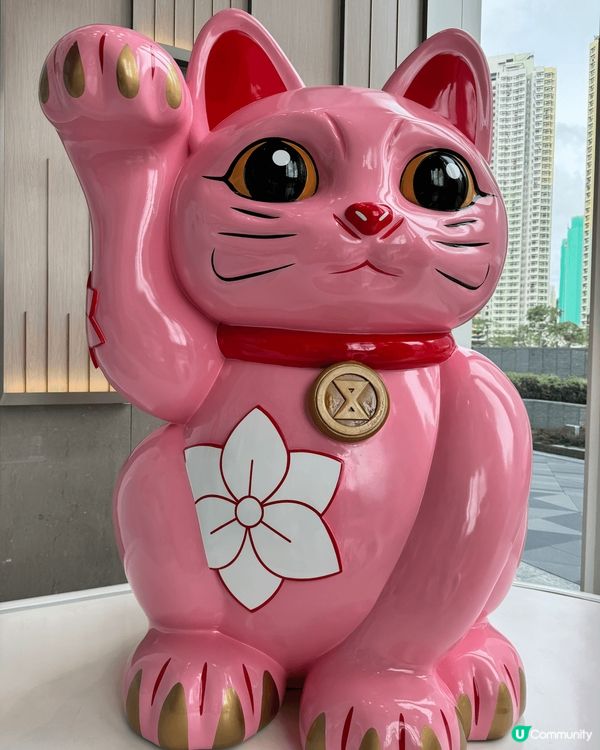 如果大家同我一樣鍾意招財貓的話，一定要去啟德SOGO，一個集...