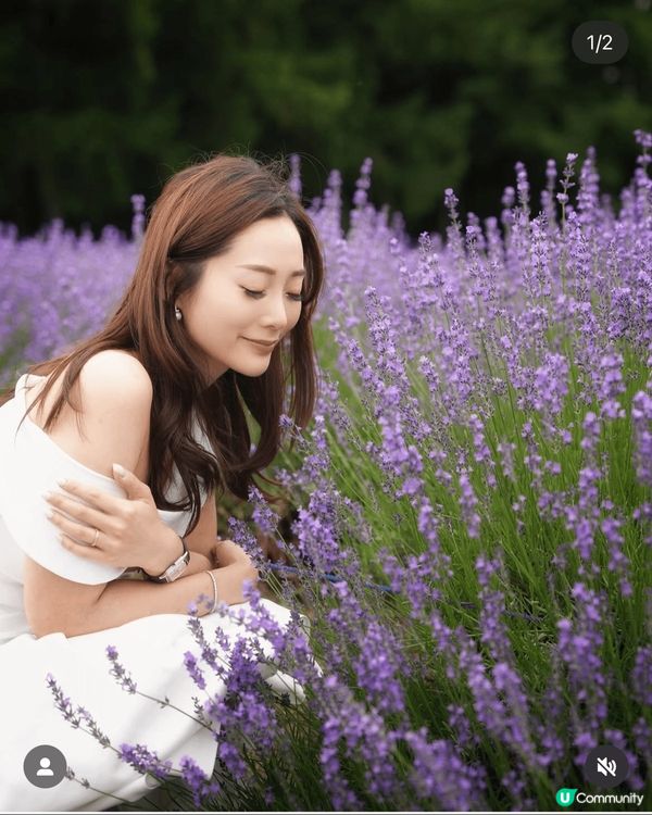 打卡位攝於北海道富良野 