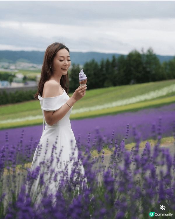 打卡位攝於北海道富良野 