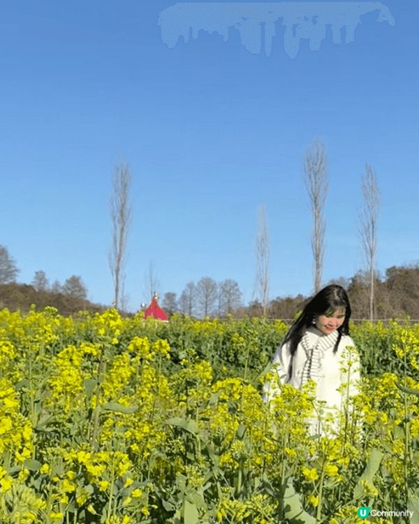 名古屋吉卜力公園除左室內個大倉庫外，室外有好多同大自然🍃融合...