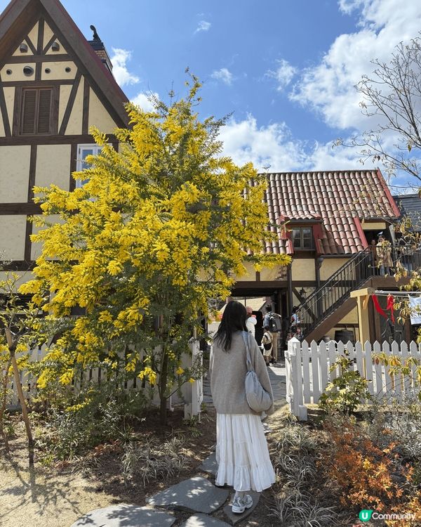 名古屋吉卜力公園除左室內個大倉庫外，室外有好多同大自然🍃融合...