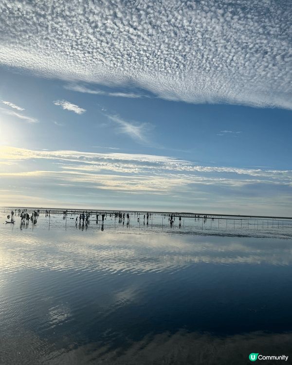 🌅 *高美濕地—台中最強夕陽景點！*  