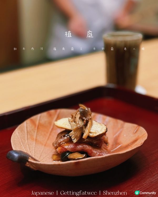 🇨🇳| 深圳 - 植庭
