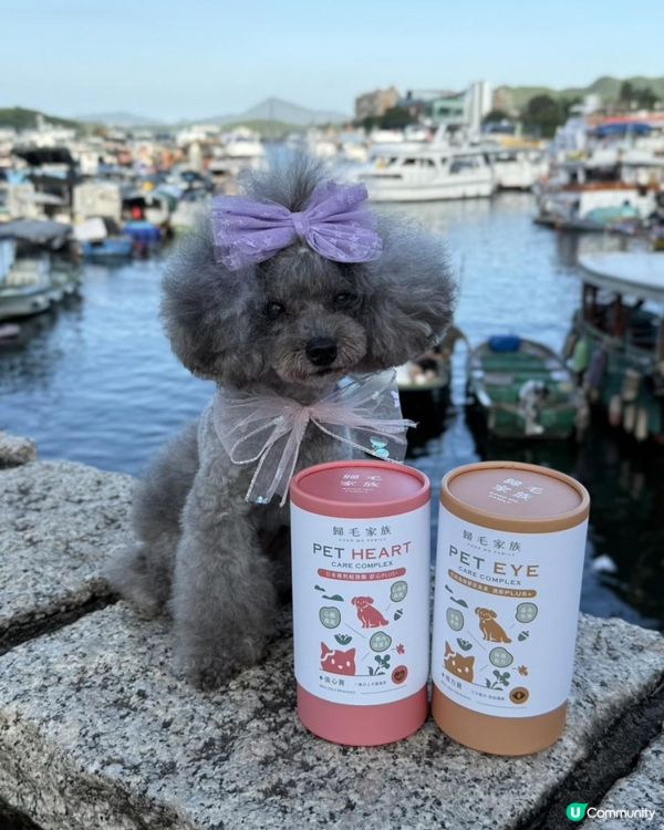 Ｉ🐶毛孩眼睛和心臟救星 ・ Goodmo Family 歸毛家族 Good寶系列試用 🐾開箱Ｉ