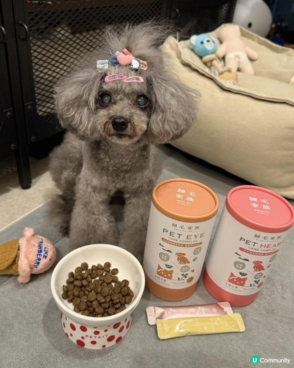 Ｉ🐶毛孩眼睛和心臟救星 ・ Goodmo Family 歸毛家族 Good寶系列試用 🐾開箱Ｉ