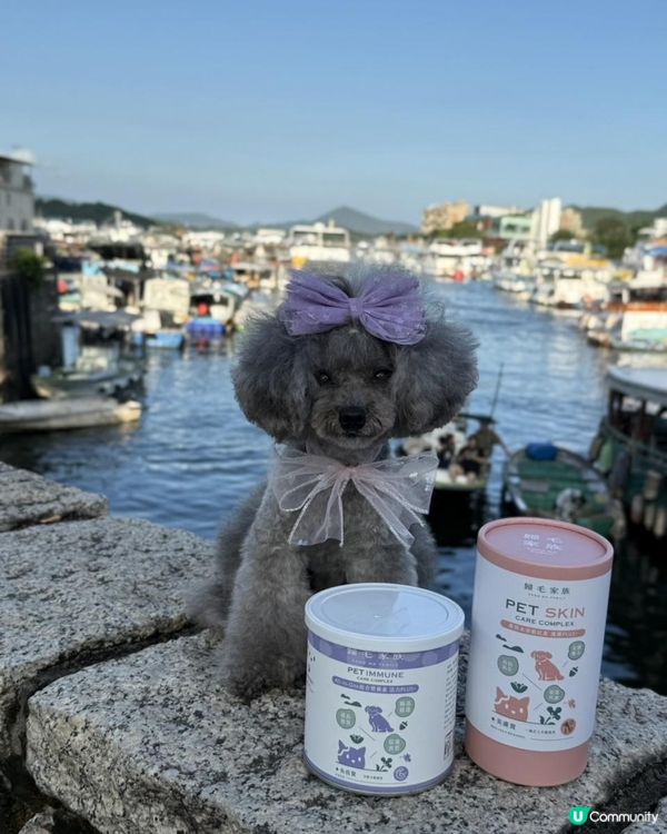 Ｉ🐶毛孩皮膚救星・ Goodmo Family 歸毛家族 Good寶系列試用 🐾開箱Ｉ   