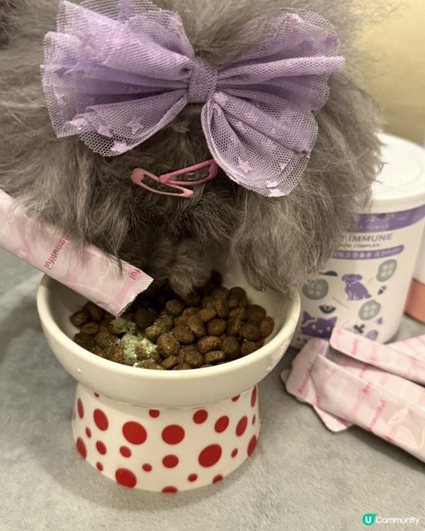 Ｉ🐶毛孩皮膚救星・ Goodmo Family 歸毛家族 Good寶系列試用 🐾開箱Ｉ   