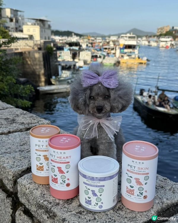 Ｉ🐶毛孩皮膚救星・ Goodmo Family 歸毛家族 Good寶系列試用 🐾開箱Ｉ   