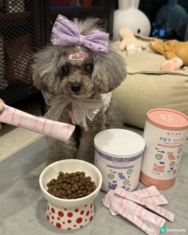 Ｉ🐶毛孩皮膚救星・ Goodmo Family 歸毛家族 Good寶系列試用 🐾開箱Ｉ   