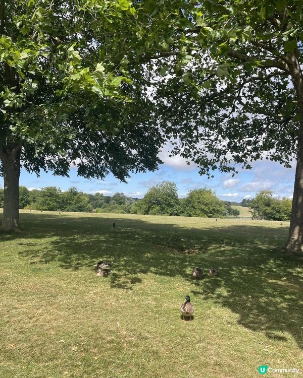 2025 倫敦之旅 Day 1-4