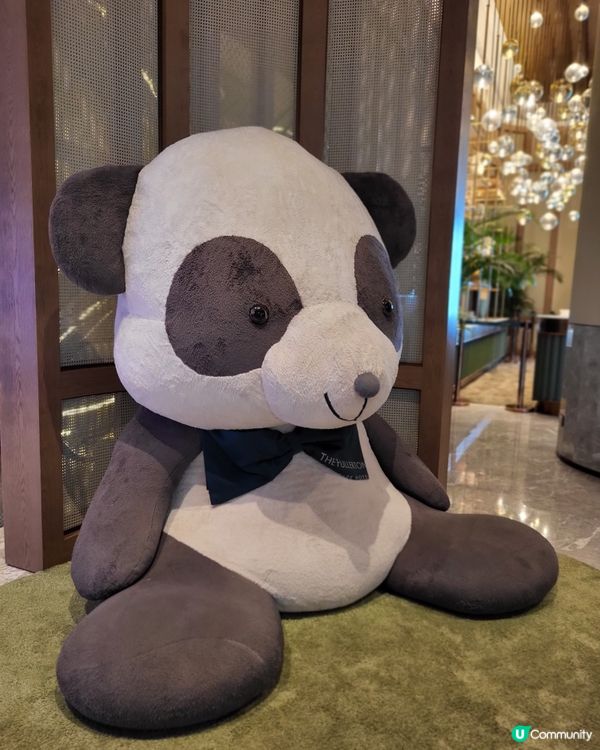 香港打卡酒店分享🩵 | 入住體驗分享