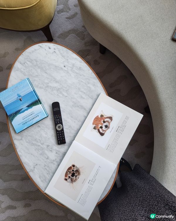 香港打卡酒店分享🩵 | 入住體驗分享