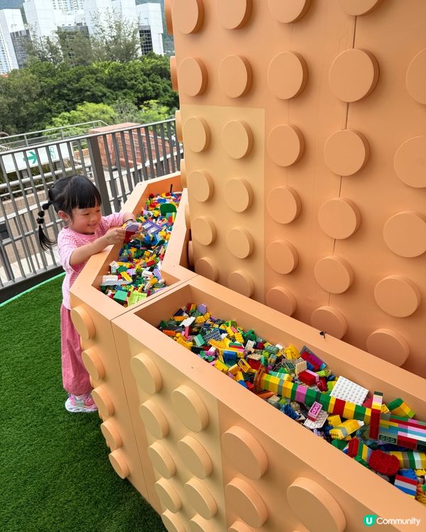 樂仔帶你玩轉新城市！🌳🥳