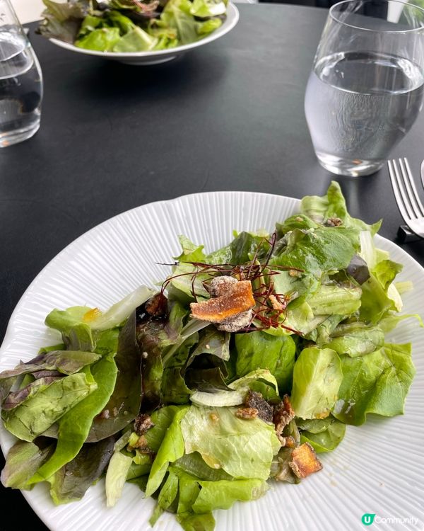 意景靚景 . 細味精品午餐