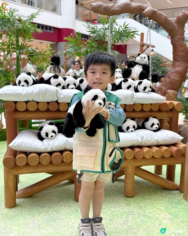 #小小動物護理員| 奧海城 X STAYFUN