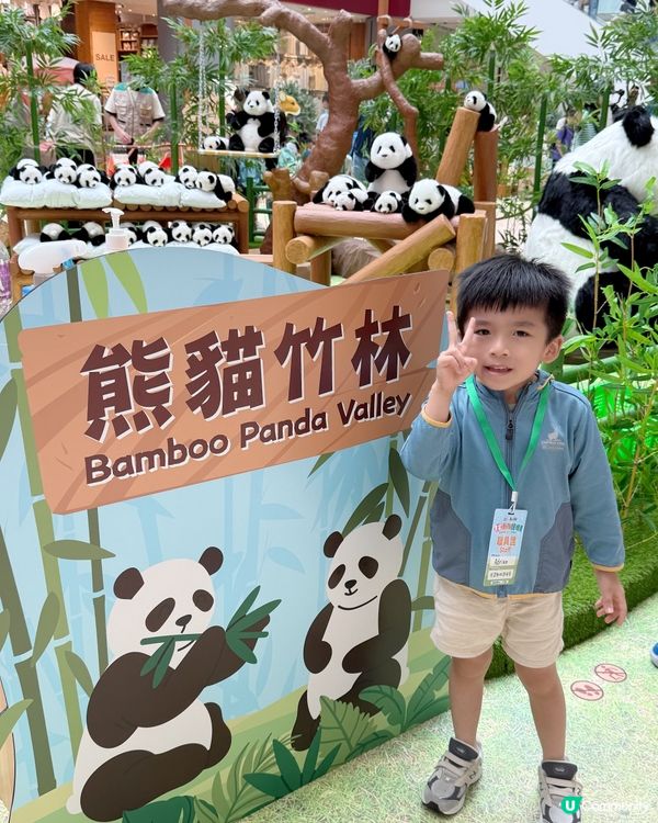 #小小動物護理員| 奧海城 X STAYFUN