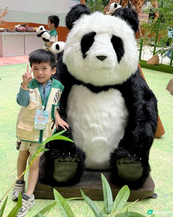 #小小動物護理員| 奧海城 X STAYFUN