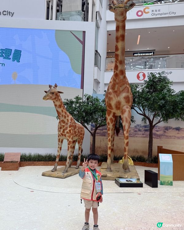 #小小動物護理員| 奧海城 X STAYFUN