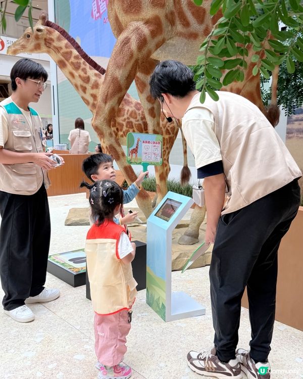 #小小動物護理員| 奧海城 X STAYFUN