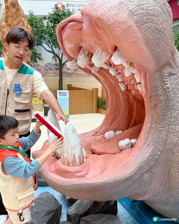 #小小動物護理員| 奧海城 X STAYFUN