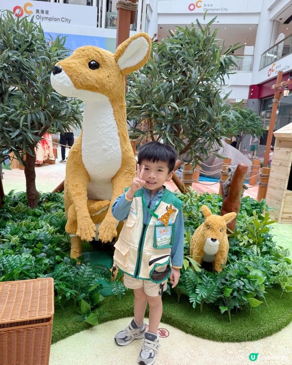 #小小動物護理員| 奧海城 X STAYFUN