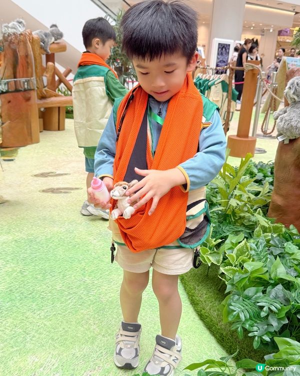 #小小動物護理員| 奧海城 X STAYFUN