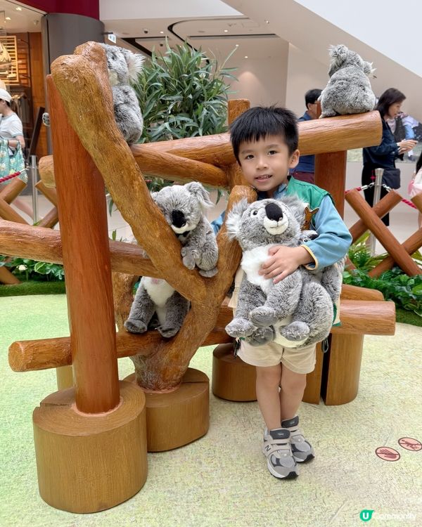 #小小動物護理員| 奧海城 X STAYFUN