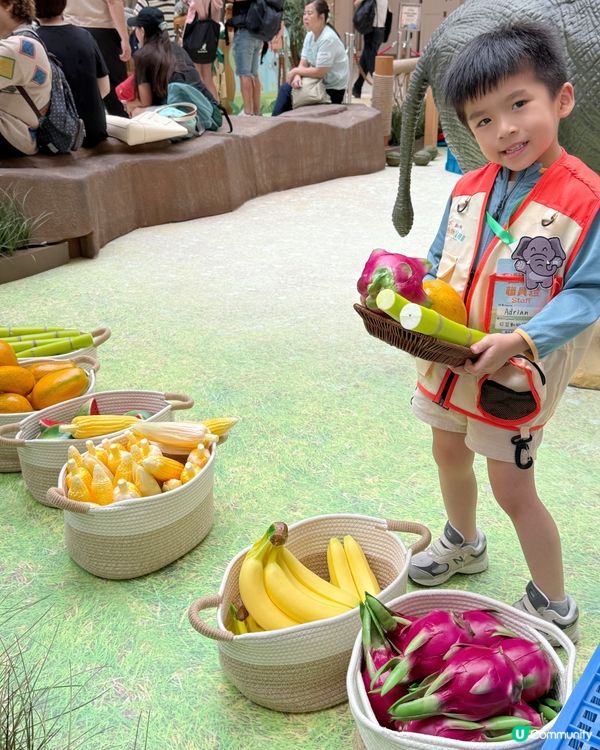 #小小動物護理員| 奧海城 X STAYFUN