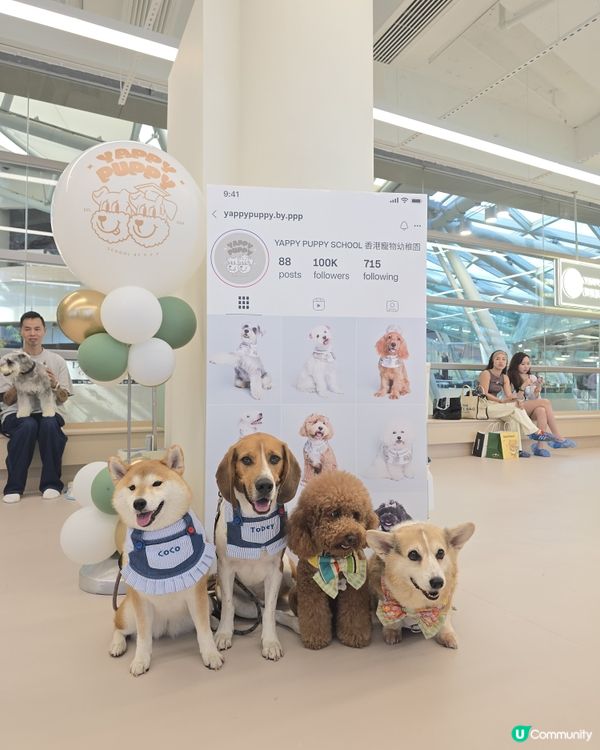 年度校服登場！萌爆數碼港🐾✨