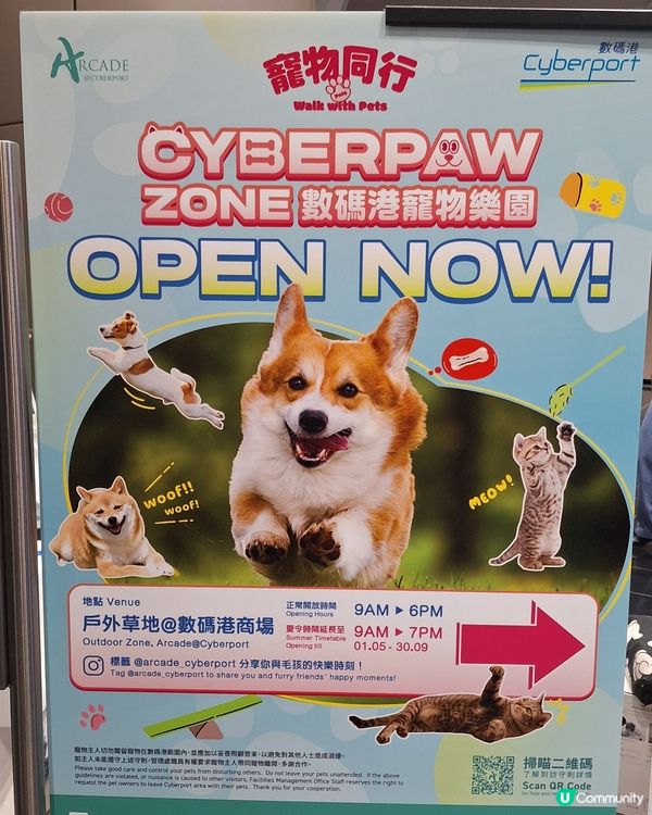 年度校服登場！萌爆數碼港🐾✨