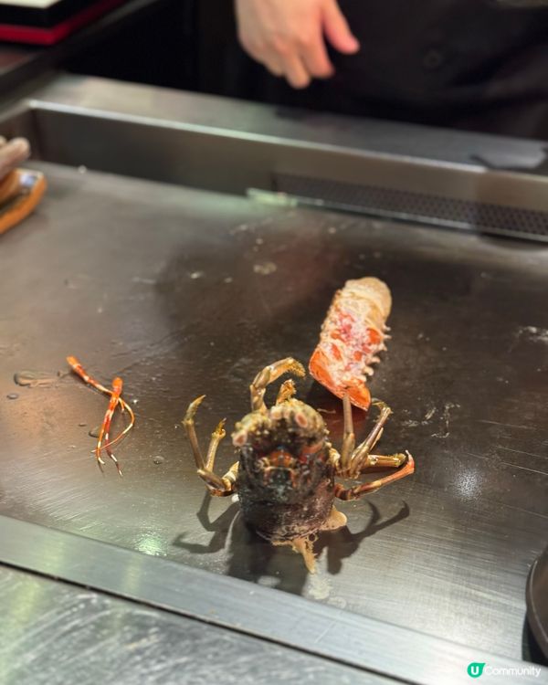 🍾慶祝餐廳之選🎊秋田鐵板燒❤️‍🔥