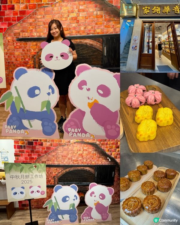 奇華可愛熊貓🐼月餅工作坊 好味😋又好好玩!