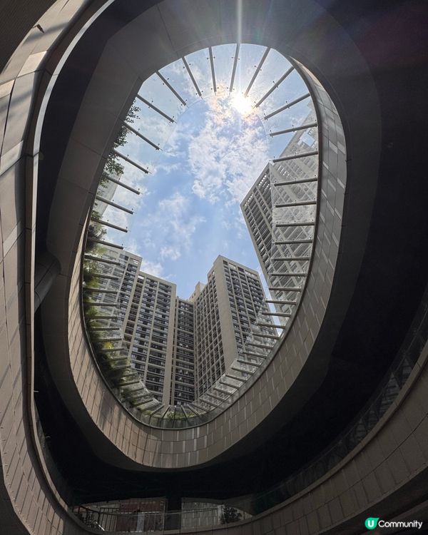 深圳飲茶初體驗-陶陶居😎