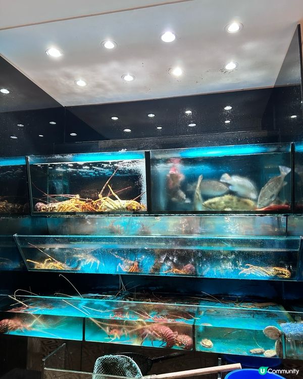 衝着薯片雞而嚟😆😆😆