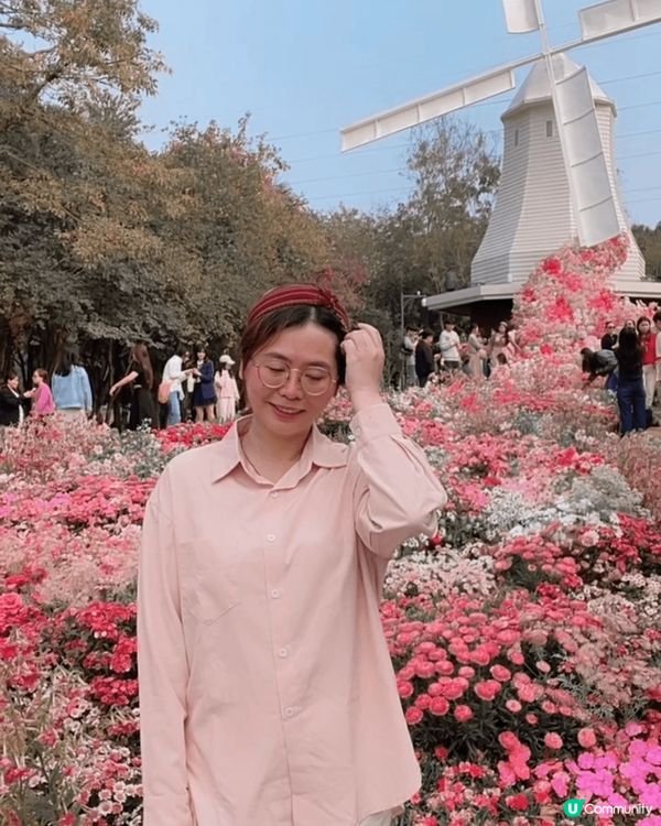 深圳荷蘭花卉小鎮🌸打卡勝地！