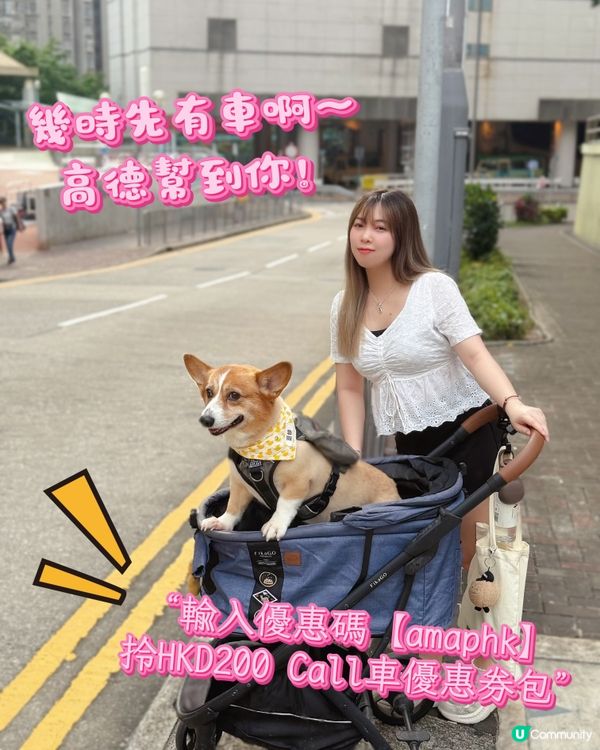 🐾狗狗出遊必備！高德Call車$200優惠🚖💨  